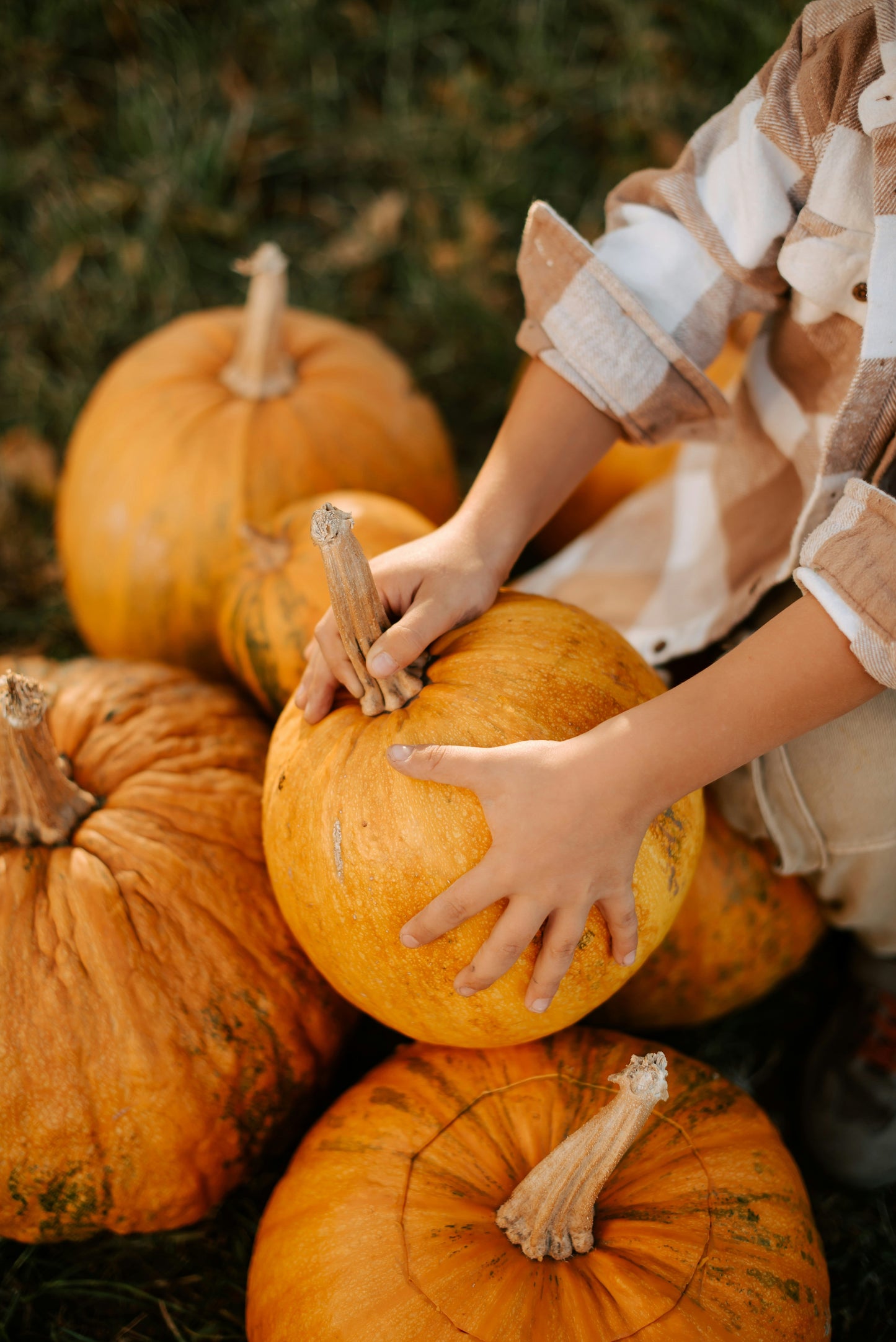 Spooky Season, Sore Muscles: How CBD Balms Keep You Moving After Pumpkin Picking