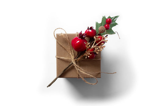 Give the Gift of Wellness: Why Ron’s Balms & Botanicals Are Seattle’s Best Christmas Gifts